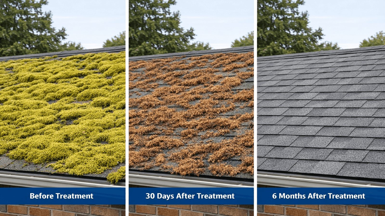How to Remove Moss from Roof: Safe Cleaning Methods 2026